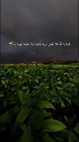 #سوف يمضي بنا مركبآ للوداع 🖤 #ستوريات_انستا 