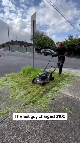 What would you charge? #asmr #asmrsounds #satisfyingvideos #tiktok #nathanslawnsandgardens 