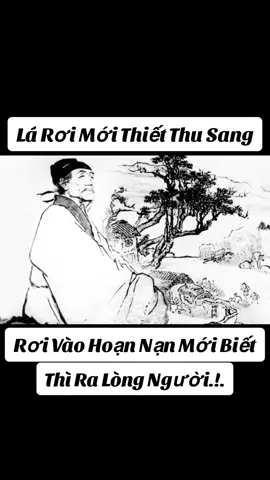 #Lá Rơi Mới Biết Thu Sang,Rơi Vào Hoạn Nạn Mới Biết Thì Ra Lòng Người#bàihọccuộcsống #triêtlycuocsong #trituenguoixua #loidayconhan #caunoihay #xuhuong 