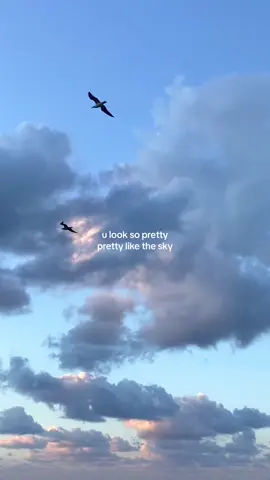 forever a “look at the sky” person ☁️ #foryou #fypシ #sea #sunset #pourtoi  #foryoupage #اكسبلور #explore #viral #sky #clouds #capcut #aesthetic 
