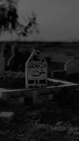 ديف مالي دنيايي نه كه فه جونكي دي هه ر مري💰⚰️#باديني #دهوك #زاخو #ئاكري #كوردستان 