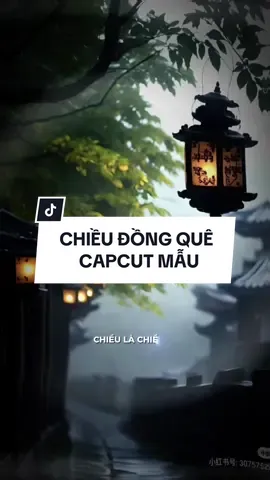 Chiều là chiều ơi.. nắng chiều dần buông khắp nơi.. #CapCut #capcutmaster #64_vinhlong #phuchiencapcut #chieudongque 