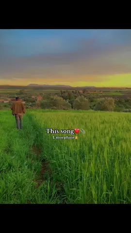 #lmorphine🇲🇦 #pfypシ #foryou #rap #viral #morpho #pourtoi 