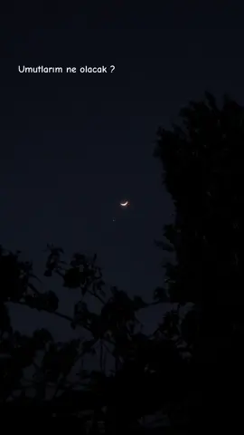 Umutlarım ne olacak..🎈 #farukerk #nilüfer #inkaretme 