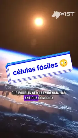 ¡Descubrimiento fascinante! Investigadores han identificado microestructuras en células fósiles que podrían cambiar nuestra comprensión de la historia de la Tierra.  #capcut #wistecu #wistec #mx #cienciaentiktok #AprendeEnTikTok #AprendeConTikTok 