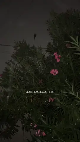 🌙💖 #fyp #رمضان #مطر #explore #trending 