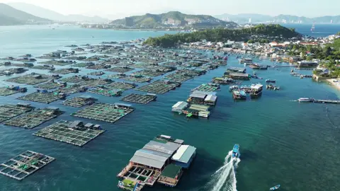 Anh không ở quê, anh ở Làng Chài🐟#langchainhatrang #tourdaonhatrang #xuhuong #BestTravel #trending 