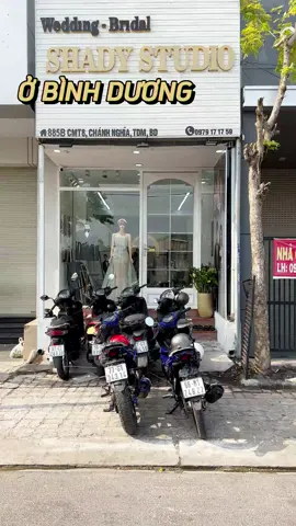 Chụp ảnh cưới ở đâu vừa đẹp vừa rẻ 👰‍♀️🤵‍♂️ #xuhuong #chupanhcuoi #cuoi #codau #chuphinhcuoi #anhcuoibinhduong #shadystudio #xuhuongtiktok2024 