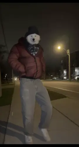 pov you’re little red otw to grandma’s 🐺 #dog #cutedog #greenfn #rizz #samoyed #0pium #dogtok #fyp #funnydogs #trending 