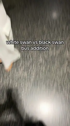 peep amish 
