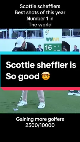 Best shots this year #scottiescheffler #golf #golftiktok #fypシ #golftok #viral #golfing #foryoupage #fyp 