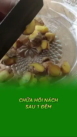 Chữa hôi nách sau 1 đêm #xuhuong #suckhoesacdep #kinhnguyet #tucung #thuocnamsuckhoe 