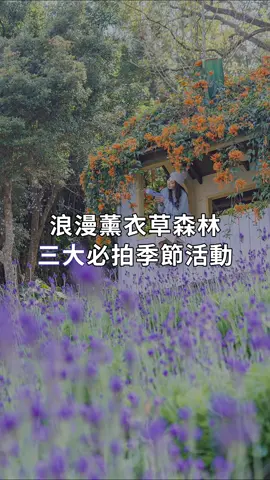 浪漫薰衣草森林，三大必拍季節活動💫 . 台中知名景點之一的薰衣草森林 來自兩位女生的紫色夢想💜 希望每一位旅人👣 用五感體驗親近花草樹木，在繁忙中遇見放鬆 . 無論是新社店、尖石店📌 一年四季都有不同主題花卉活動 . 1月-3月 薰衣草季/櫻花 4月-6月 繡球花季/螢火蟲 5月-10月 粉萼鼠尾草 9月-10月 南瓜節/火焰雞冠花 11月-12月 聖誕紅/白雪木 . . 現在正值𖥧2024薰衣草節—花薰之時𖥧  趕快找時間漫步薰衣草紫色花海吧～ ➖➖➖➖➖➖➖➖➖➖➖➖➖ 👉🏻 薰衣草森林–2024薰衣草節 @lavendercottage2001 . 📍台中市新社區中興街20號、新竹縣尖石鄉129號 📅2023/01/20～03/24 ⏰週一至週五10:30～18:30；週六至週日10:00～18:30 📝入園$200可折抵店鋪消費$100(12歲以下孩童、好厝邊鄰居、身心障礙免費入園) 📝自然景觀可能因氣候、季節緣故有所不同，實際依現場為主 ➖➖➖➖➖➖➖➖➖➖➖➖➖ #薰衣草森林新社店 #薰衣草森林尖石店 #薰衣草森林 #2024薰衣草節 #薰衣草節 #花薰之時 #薰衣草 #台中薰衣草 #繡球花季 #南瓜節 #聖誕紅 #台中親子景點 #台中約會景點 #台中景點 #台中旅遊 #如兒遊台中 #如兒的悠閒食光 