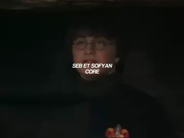 Voilà la partie 2. Par contre j’espère vraiment qu’ils vont faire le cinquième film 😭 ##seb##sofyan##youtube##francais##pourtoi##harrypotter
