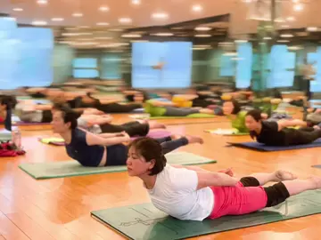 Yoga trị liệu (hay còn gọi là yoga therapy) là hình thức sử dụng các bài tập kết hợp giữa động tác, hơi thở và sự dẫn khí, có công dụng tác động mạnh mẽ lên các phần cơ nhằm giảm căng các cơ khớp xương xuống mức thấp nhất, cải thiện các triệu chứng đau cơ, đau khớp, giúp cơ thể săn chắc hơn, hỗ trợ điều trị bệnh tật, mang lại sự cân bằng cho cơ thể. #yogatrilieu #yogatherapy #yogalinhdam #yogachuabenh #yogachualanh