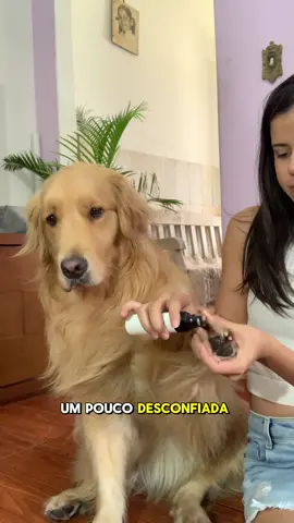 Esse lixador de unhas pet é tudo! 🛍️ Comprei na @Mammute Shop  #pet #doguinho #tiktokmademebuyit 