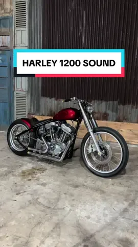 Cek Sound Harley 1200 🔊🔊 #enggalmodified #emfactory #hdsound #realsound #harleysportster #harleydavidson #chopper #choppers #chopperindonesia #harleydavidson #harleysportster #harleychoppers #hdci #harleyindonesia 