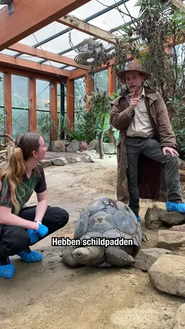 Wist je dat schildpadden geen tanden hebben? 😱🐢 #dieren #dierenparkamersfoort #schildpad #schildpadden #dierenweetje #wistjedat