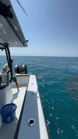 Crazy bait ball experiance the other day #marcoislandcharters #boat #yellowfinyachts #yellowfinboats #fishing 