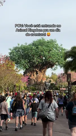 Eu amo MUITO esse parque! 🦁🥹 #disney #animalkingdom #orlando #disneyworld #florida #eua 