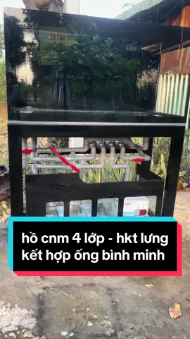 hồ cnm view 3 mặt - đường ống kỹ thuật sử dụng ống bình minh📌#hocatayninh #xuhuong #thinhhanh #hôcngnghemoi #ongbinhminh 