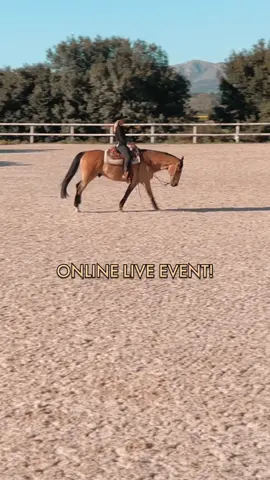 ONLINE LIVE EVENT 😍 . Anzeige| Meldet euch direkt über den Link in der BIO oder heute in der Story zum kostenlosen Live Event an und stellt mir eure Fragen zum stressfreiem Galoppieren!  . So viele Reiter haben Angst vor dem Galopp, klemmige Pferde und von vorn bis hinten keinen Spaß an dieser wunderschönen Gangart!  . Am ✨23.03.2024 um 12:00 Uhr✨ startet mein kostenloses Webinar und wir werfen gemeinsam einen Blick in die LT-Academy - ihr könnt mir live eure Fragen stellen und bekommt Praxistipps für den nächsten Ritt 🐴🥰 . Nicht verpassen und schnell unverbindlich und kostenlos anmelden - ich freue mich auf euch! #ltacademy #webinar #kostenlos #liveevent #onlineevent #lope #canter #galopp #horseriding #horsemanship #westernriding 