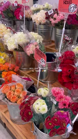 your sign to go buy yourself flowers, you deserve them 😘 #mileycyrusflowers #mileycyrus #flowerbouquet #miami #umiami #traderjoes #traderjoeshauls 
