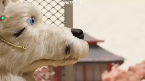 muito eu!! //#ilhadoscachorros#wesanderson#movie#filme#fyp#foryoupage 