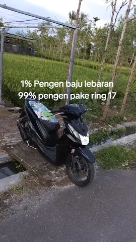 pengen ring 17 jari