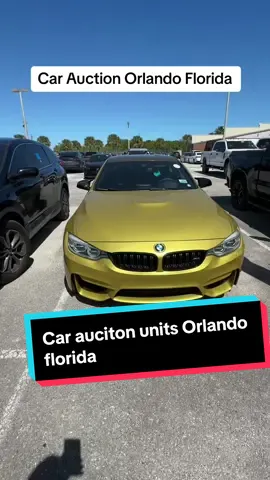 The car auction in orlando Florida has some good cars for sale! Check out what i get. #cardealer #cars #behindthescene #dealershiptok #orlando #orlandoflorida #carprices #cartok #bmw #audi #landrover #tesla #buyingcars #carsales #carauction #dealershiptiktok 