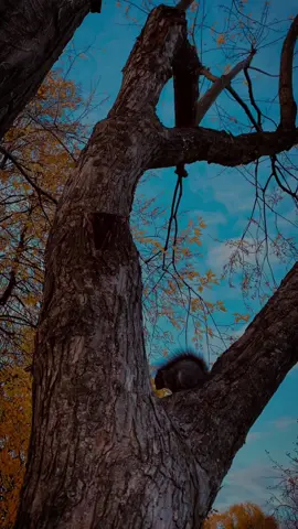 لعله خير 🤍#canada_life🇨🇦 #مجرد_تصوير #rayanayoubi #lebanon #fyp 