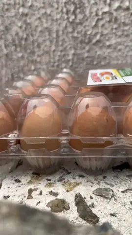 1 billion views video tiktok viral comedy trending tiktok challenge comedy trending comedy tiktok trending funny duet videos trending funny videos tiktok Trending Funny Comedy my tiktok trending funny video #fypシ゚viral #fyp #tiktoknews 