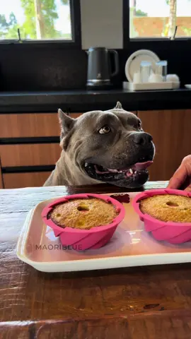 Bolinho de Banana 🐾 Ingredientes: Aveia Ovos Banana Óleo de coco Alfarroba em pó 