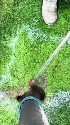 Satisfying Garden Work 🤩🍀 #garden #oddlysatisfying #cleaningtok #viraltiktok #satisfyingcleans #gardening 