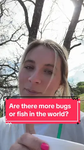 #Outdoors #fish #bug 