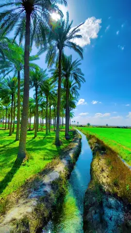 ايباااه ايام كبل جانت شكد حلوه 🥹 #عباراتكم_الفخمه📿📌 #المصور_غزوان_النمراوي 