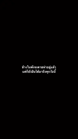 #ฟีด #tiktok #เธรด #เธรดความรู้สึก #เหนื่อย 