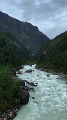 SOLUKHUMBU🌱PHAKDING VILLAGE #nature #peace #everestbasecamp #himalayas #himalayan #himalaya #trekkinglife #river #khola #beauty #beautiful #explore #nepal #nepalitiktok #trending #trend #tiktok #viral #travel #fyp #foryou #foryoupage #forest #village #kulung_trek #mountain_hero #phakding 