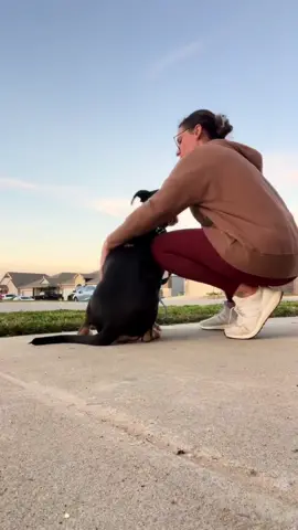 I’ve been MIA because my heart is so heavy. I had to let go of a pup today and my heart is in pieces. I love you beans 🤍 #puppyloss💔 