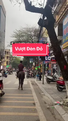 Đè Vạch Rồi#thinhhanh #thinhthanhtiktok #cưỡingựa #xuhuong 
