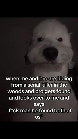 Us??? 😂 silly goose.