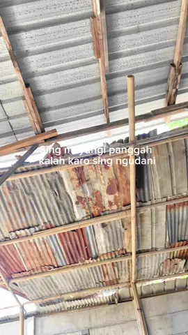 Kalah sekabehane #lewatberanda #masukberanda #fyppppppppppppppppppppppp #fyp #viral #cipondoh #meme 