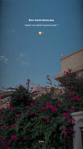 Ow aneee 🌝💕 #trending#viral#fyp#foryou#tiktok#capcut#feelings#__mr_rana__#crazy_rana💟#පිටිගල_අපි#oldbulletz 