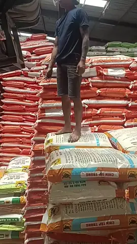 giá bèo quá lổ rồi ae ơi 