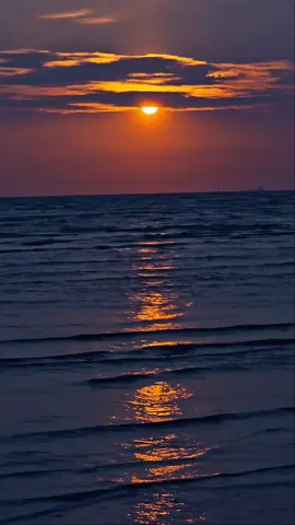 Nee Pathi Naan Pathi #ilayaraja #kjyesudas #umaramanan #90stamilsongs #90tamilsongs #tamilsong #rajikrisnan #mobilevideography #beach #morib #sunset 
