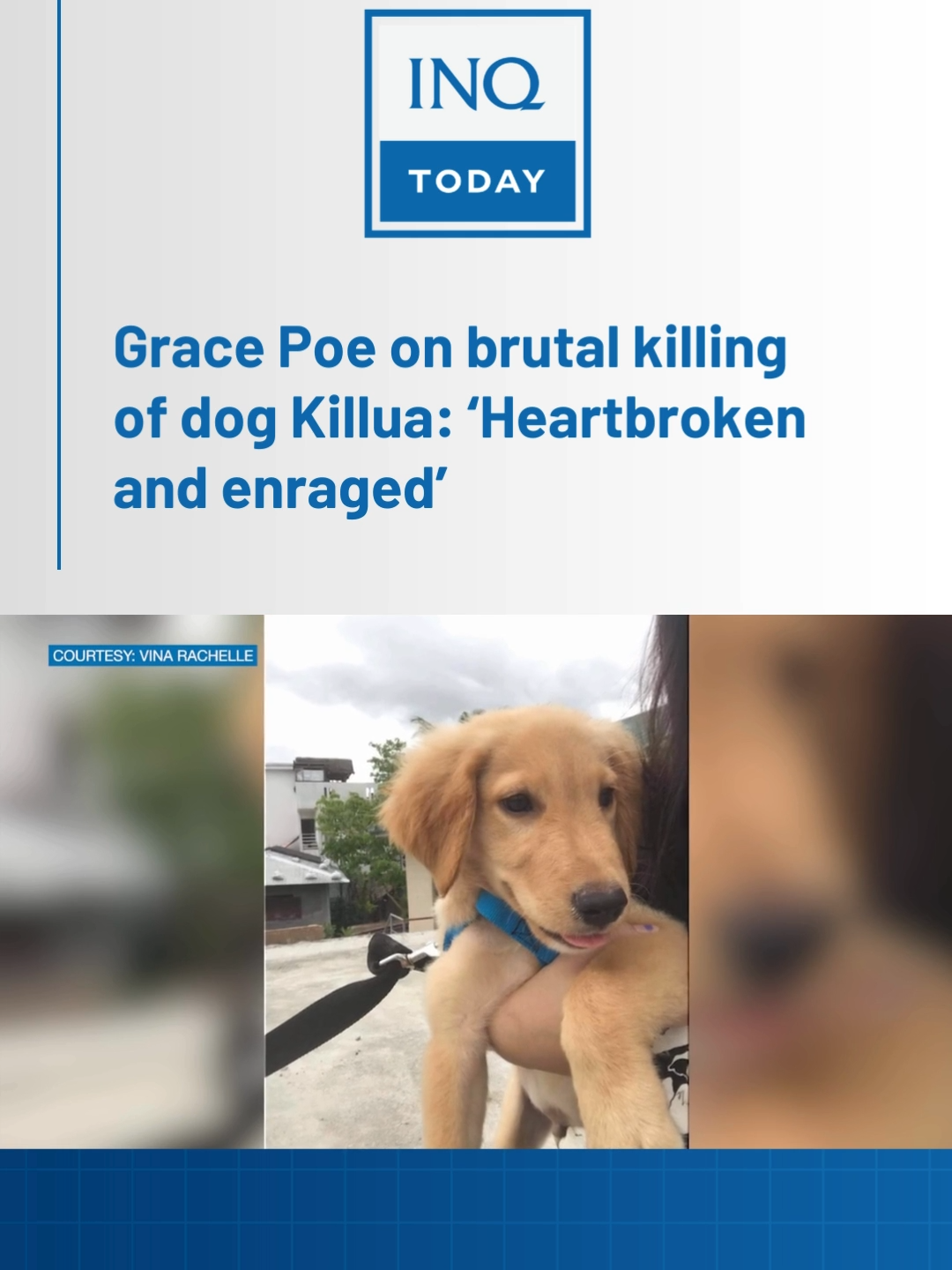 Sen. Grace Poe says she is “heartbroken” and “enraged” over the brutal killing of a beloved Golden Retriever named Killua. #TikTokNews  #SocialNews  #NewsPH  #inquirerdotnet