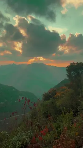 Free loop <3 #vantuanduky #romantic #freeloop #CapCut 