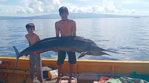 momen 2019#marlin#fyp 