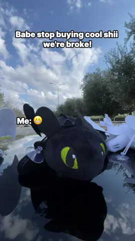 Can’t help it 🙄 - Link in BIO 🔗 #httyd #howtotrainyourdragon #caraccessories #viral 
