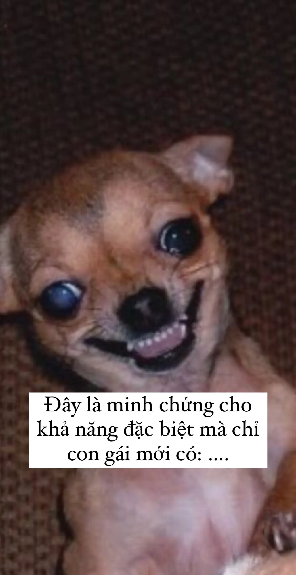 Hãy nói rằng tôi không cô đơn đi #votrinhattraidat #xuhuong #trending #haihuoc #votri #votrinhungvui #vuinhon 